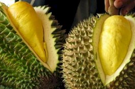 Gara-gara Aroma Durian, 12 Pekerja Kantor Pos di Jerman Dapat Perawatan Medis