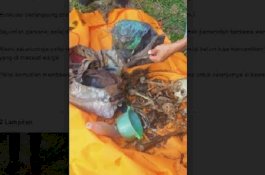 Kerangka Manusia Ditemukan di Pangkep, Ada Baju Linmas dan Jam Tangan Gucci