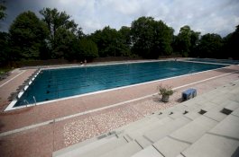 Kena PHK, Karyawan Ini Jadikan Kolam Renang untuk Beternak Lele