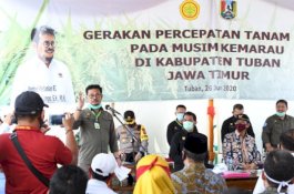 Pacu Produksi, Mentan Lakukan Percepatan Tanam Padi di Tuban