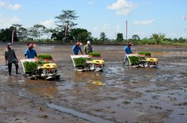 Akademisi Unlam dan UGM Dukung Pengembangan Food Estate Kalteng