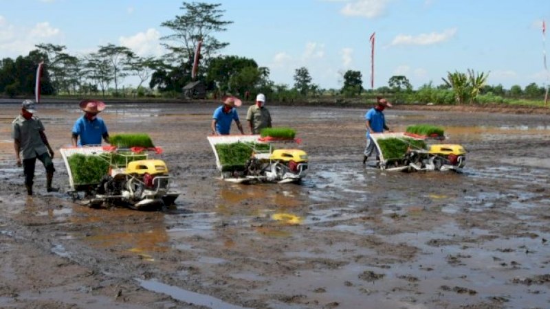 Akademisi Unlam dan UGM Dukung Pengembangan Food Estate Kalteng