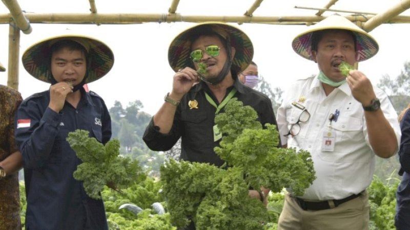 Mentan Syahrul Dorong Sayuran Organik dari Petani Milenial