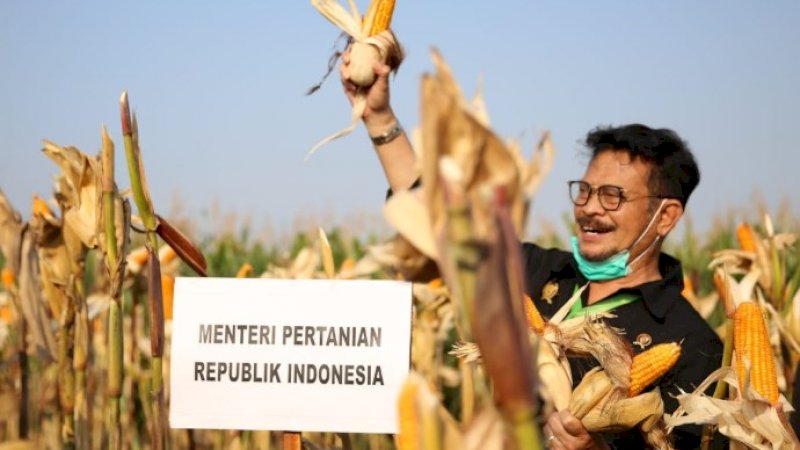 Mentan Syahrul dalam acara panen raya jagung bersama Bupati Kendal, Mirna Annisa di Desa Pujang Rejo, Kecamatan Cepiring, Kendal, Sabtu (27/6/2020).
