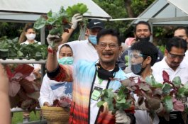 Kampanyekan Diversifikasi Pangan, Mentan SYL  Ajak Masyarakat Sehat dan Kuat