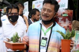 Mentan SYL: Diversifikasi dari Pangan Lokal Kokohkan Ketahanan Pangan