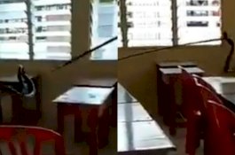 King Kobra Ditemukan Bersarang di Laci Murid yang Libur 3 Bulan