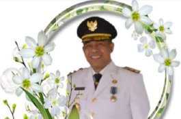 Mantan Wakil Bupati Wajo Andi Syahrir Kube Dauda Meninggal Dunia