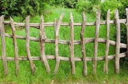 Pemilik Kebun Pasang Bom Aktif untuk Hewan Liar, Begini Kondisi Sapi yang Datang Mengigitnya