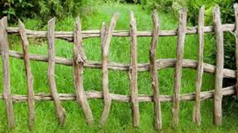Pemilik Kebun Pasang Bom Aktif untuk Hewan Liar, Begini Kondisi Sapi yang Datang Mengigitnya
