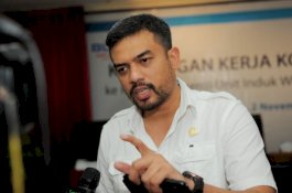 DPP Golkar Belum Final Usung Hamzah Pangki