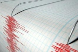 Gempa Magnitudo 5,2 Guncang Papua, Tidak Berpotensi Tsunami