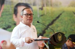 Gula Semut Organik Purbalingga Tembus Pasar Negeri Para Dewa