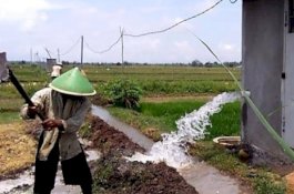 Dulu Andalkan Hujan, Petani di Kebumen Kini Panen Tiga Kali Setahun Berkat Pompa Air Listrik