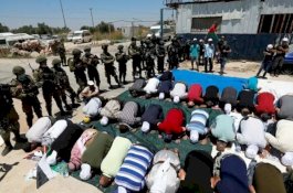 Kutuk Keras Aneksasi Israel terhadap Wilayah Tepi Barat Palestina, MUI Pusat Keluarkan Maklumat