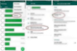 Terungkap Isi Percakapan Grup WhatsApp Menteri Kabinet Indonesia Maju usai Dimarahi Jokowi