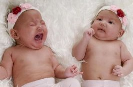 9 Tahun Nantikan Bayi, Pas Lahir Malah Dibunuh Anjing Peliharaan Sendiri