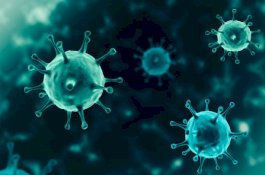 Bantaeng Tetap Zero Positif Corona