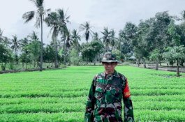 Kodim Jeneponto Siapkan Satu Hektare Lahan untuk Tanam Porang 