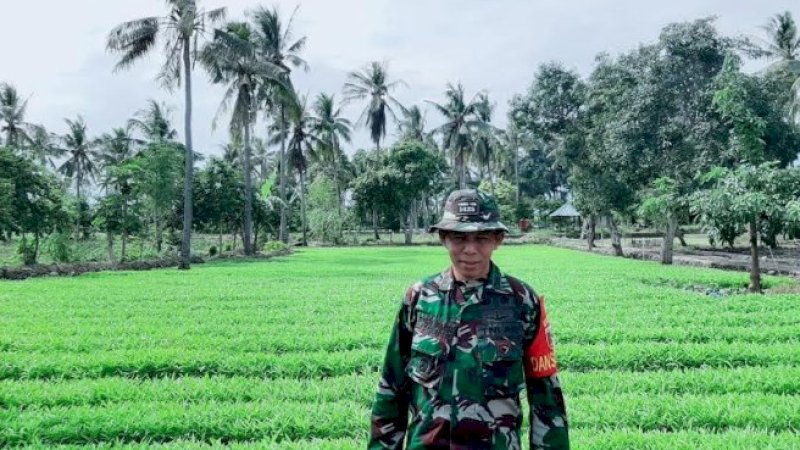 Komandan Kodim 1425 Jeneponto memiliki lahan untuk budi daya tanaman porang seluas satu hektare. Lokasinya di Desa Palajau, Kecamatan Arungkeke, Kabupaten Jeneponto, Sulawesi Selatan.