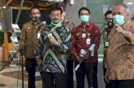 Begini Cara Kerja Minyak Kayu Putih yang Diklaim Ampuh sebagai Anti Virus Corona