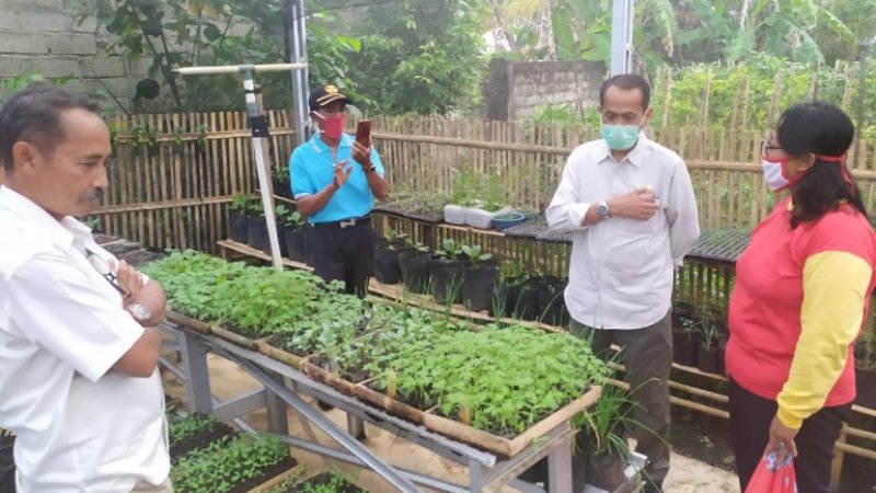 Amankan Stok Pangan Keluarga di Masa Pandemi, Kementan Ajak Masyarakat Manfaatkan Pekarangan