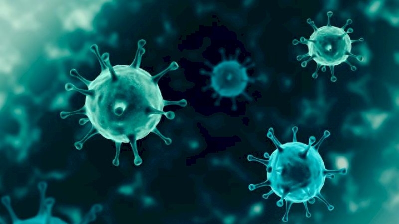 Hasil Investigasi! Jenis Corona Ternyata Sudah Ada 7 Tahun Lalu Tapi Dirahasiakan