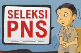 Pengumuman! Tidak Ada Penerimaan CPNS Selama 2 Tahun