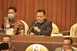 Komisi IV Apresiasi Penelitian Eucalyptus Kementan