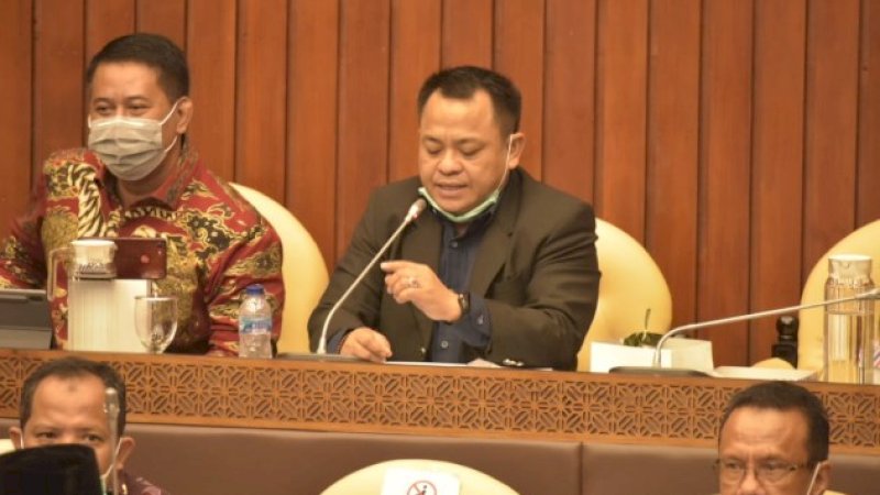 Komisi IV Apresiasi Penelitian Eucalyptus Kementan