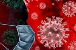 15 Persen Populasi Manusia Disebut Kebal Covid-19