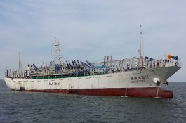 Pulang Cari Cumi dari Argentina, Satu ABK Asal Indonesia Tewas Dalam Freezer di Kapal China