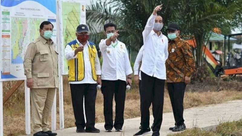 Pengembangan Food Estate Picu Antusiasme  Petani Kapuas Kalimantan Tengah