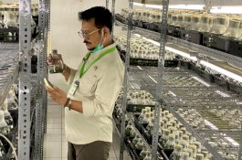 Tingkatkan Budi Daya Anggrek, Mentan Dorong Perusahaan Eka Karya Flora Buka Akses Pasar Secara Luas