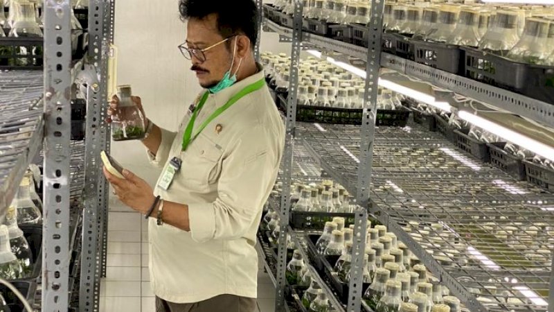 Tingkatkan Budi Daya Anggrek, Mentan Dorong Perusahaan Eka Karya Flora Buka Akses Pasar Secara Luas