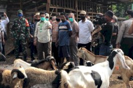 Jelang Iduladha, Mentan Syahrul Pantau Peternakan Sapi dan Kambing di Subang
