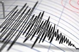 Gempa 5,5 Magnitudo di Tenggara Selayar, Tidak Berpotensi Tsunami