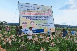 Batal Kemarin, Mentan SYL Dijadwalkan Panen Jagung di Jeneponto Hari Ini