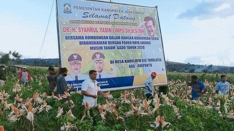 Batal Kemarin, Mentan SYL Dijadwalkan Panen Jagung di Jeneponto Hari Ini