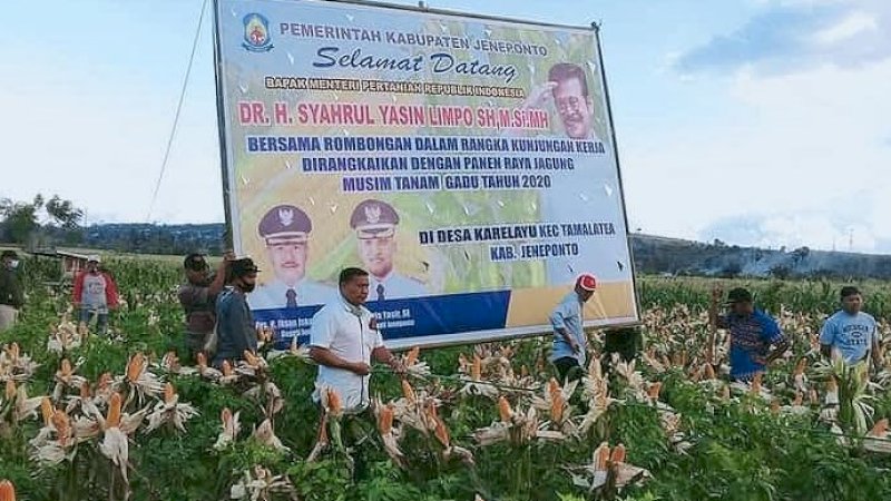 Batal Kemarin, Mentan SYL Dijadwalkan Panen Jagung di Jeneponto Hari Ini