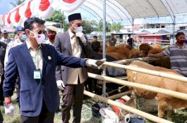 Mentan Syahrul Dorong Sulsel Jadi Lokomotif Ternak Sapi Kerbau Nasional