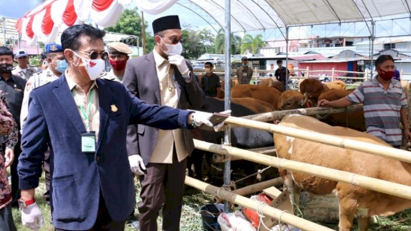 Mentan Syahrul Dorong Sulsel Jadi Lokomotif Ternak Sapi Kerbau Nasional
