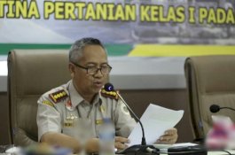 Sepanjang Masa Pandemi, Ekspor Manggis Sumbar Naik Dua Kali Lipat