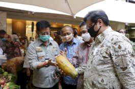 Tingkatkan Laju Ekspor, Kementan Fokus Budi Daya Buah Nasional