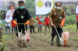 Datangi Kawasan Perhutanan Blitar, Mentan SYL Bersama Bupati Tanam Jagung