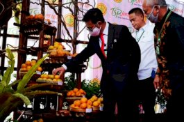 Di Malang, Mentan Syahrul Resmikan Taman Sains Pertanian Jeruk