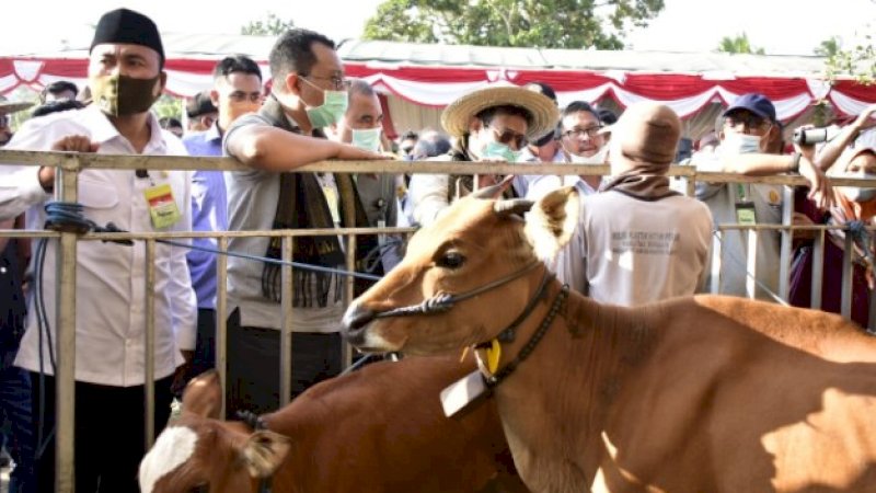 Kejar Swasembada Daging Sapi, Mentan SYL Panen Pedet di Lombok Tengah NTB