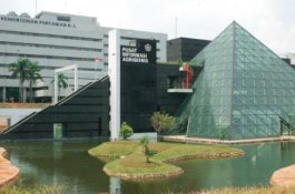 Ada Karyawan Positif Covid-19, Humas Kementan: Tantangan Bagi Kami yang Bekerja di Sektor Pangan