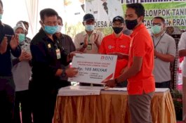 Korporasi Petani Jagung 7.000 Hektare Menggeliat di Lombok