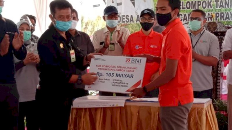 Mentan Syahrul Yasin Limpo menyerahkan secara simbolis KUR Rp105 miliar ke korporasi petani jagung di Lombok beberapa hari lalu.